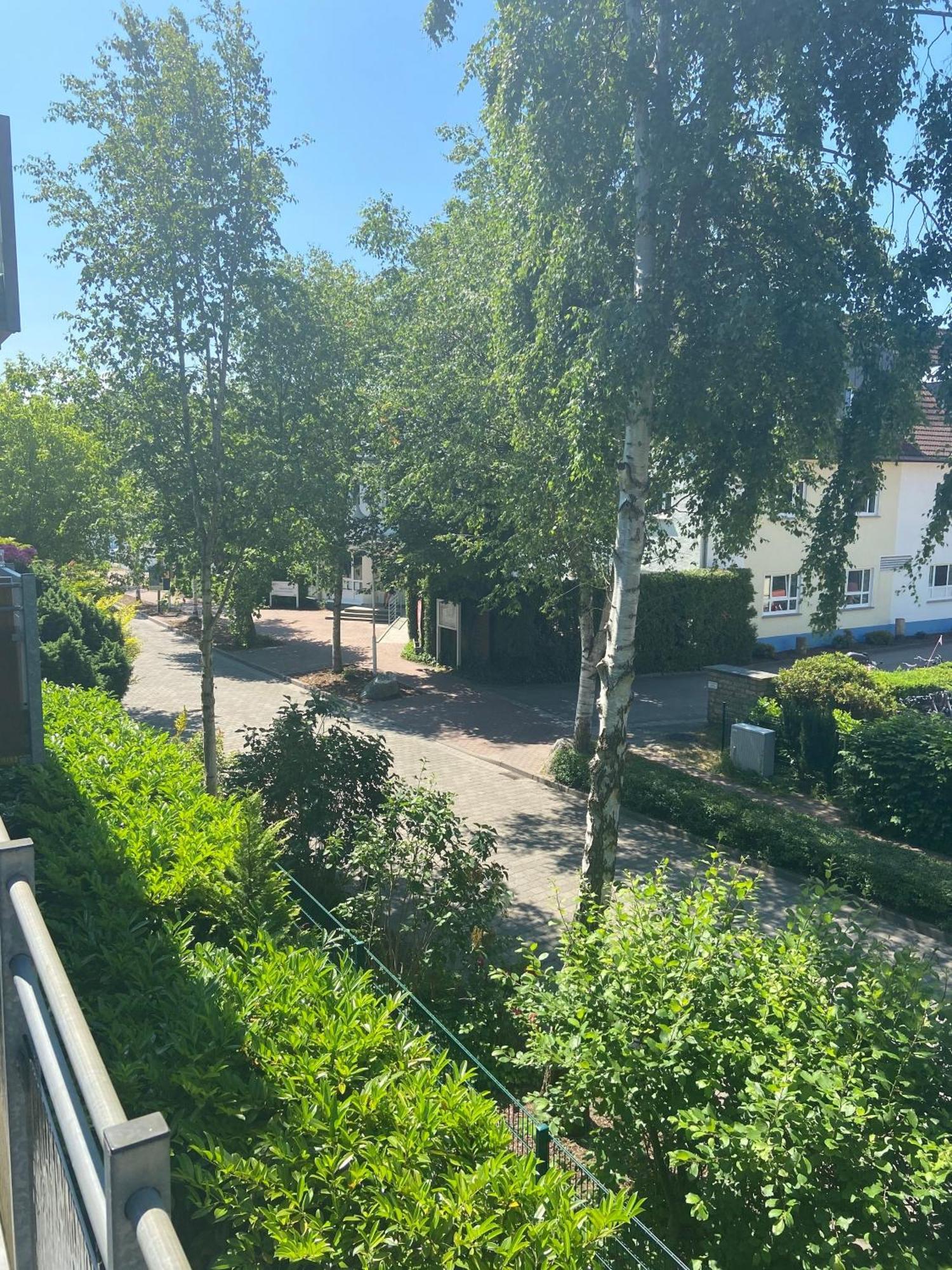 Meeresrauschen Zingst Zewnętrze zdjęcie